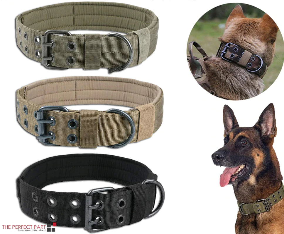 Heavy Duty 2" Wide Nylon Military Dog Collar with Metal Buckle - Perfect for Large K9s
