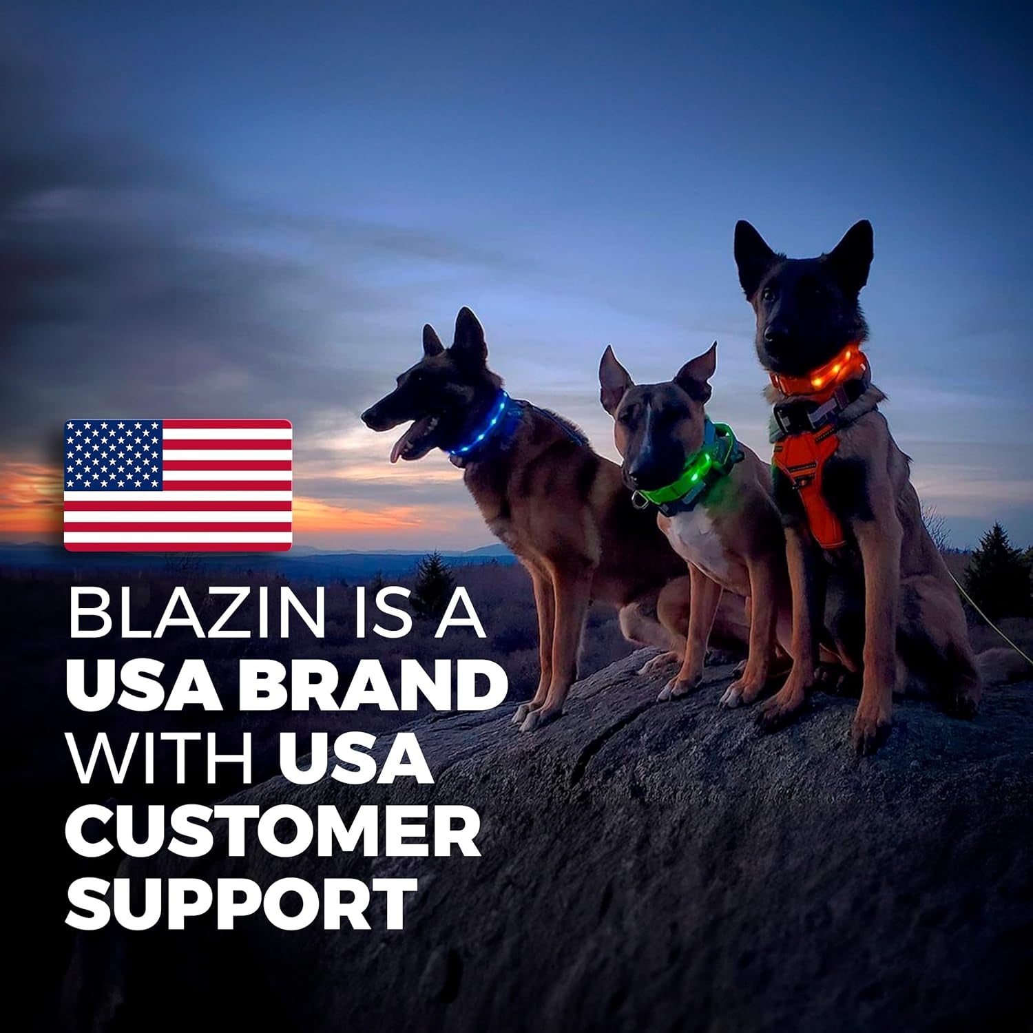 LED Dog Collar - Original USB Rechargeable, Waterproof, 1,000 Feet Visibility - Suitable for Small, Medium, and Large Dogs - Proudly Made in the USA