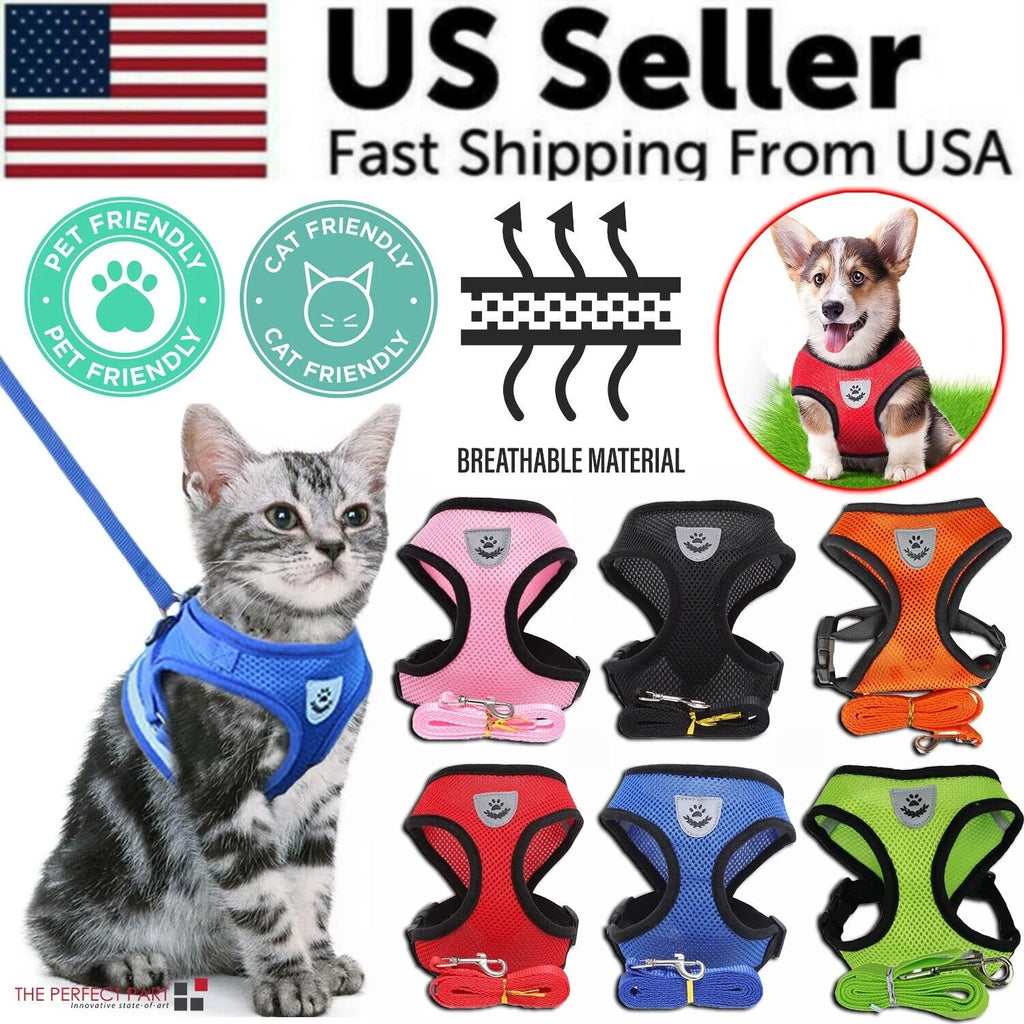 Adjustable Reflective Pet Harness and Leash for Cats and Dogs - Sizes S, M, L, XL