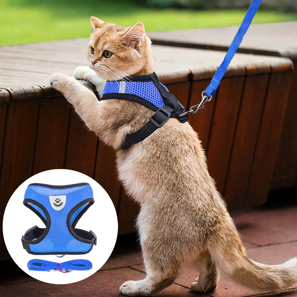 Adjustable Reflective Pet Harness and Leash for Cats and Dogs - Sizes S, M, L, XL