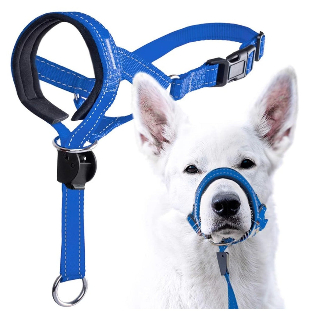 Red anti - Bite Dog Muzzle Harness Leash Set - Control and Safety for Your Pet
