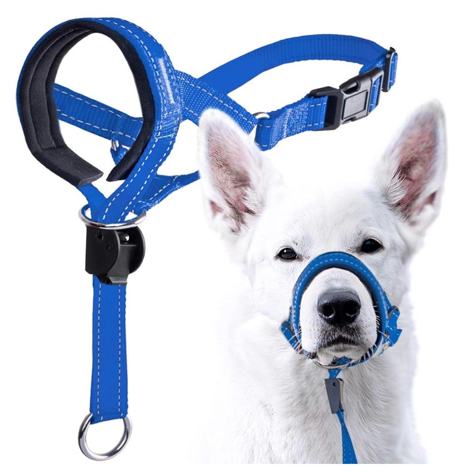 Red anti - Bite Dog Muzzle Harness Leash Set - Control and Safety for Your Pet