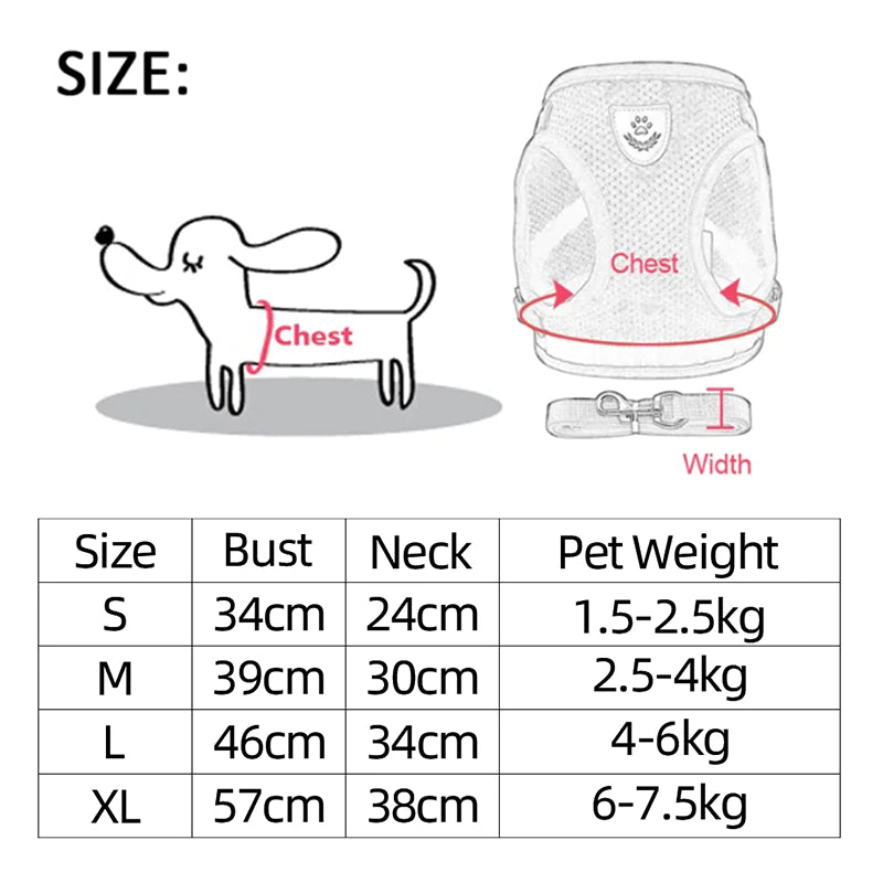 Adjustable Reflective Pet Harness and Leash for Cats and Dogs - Sizes S, M, L, XL