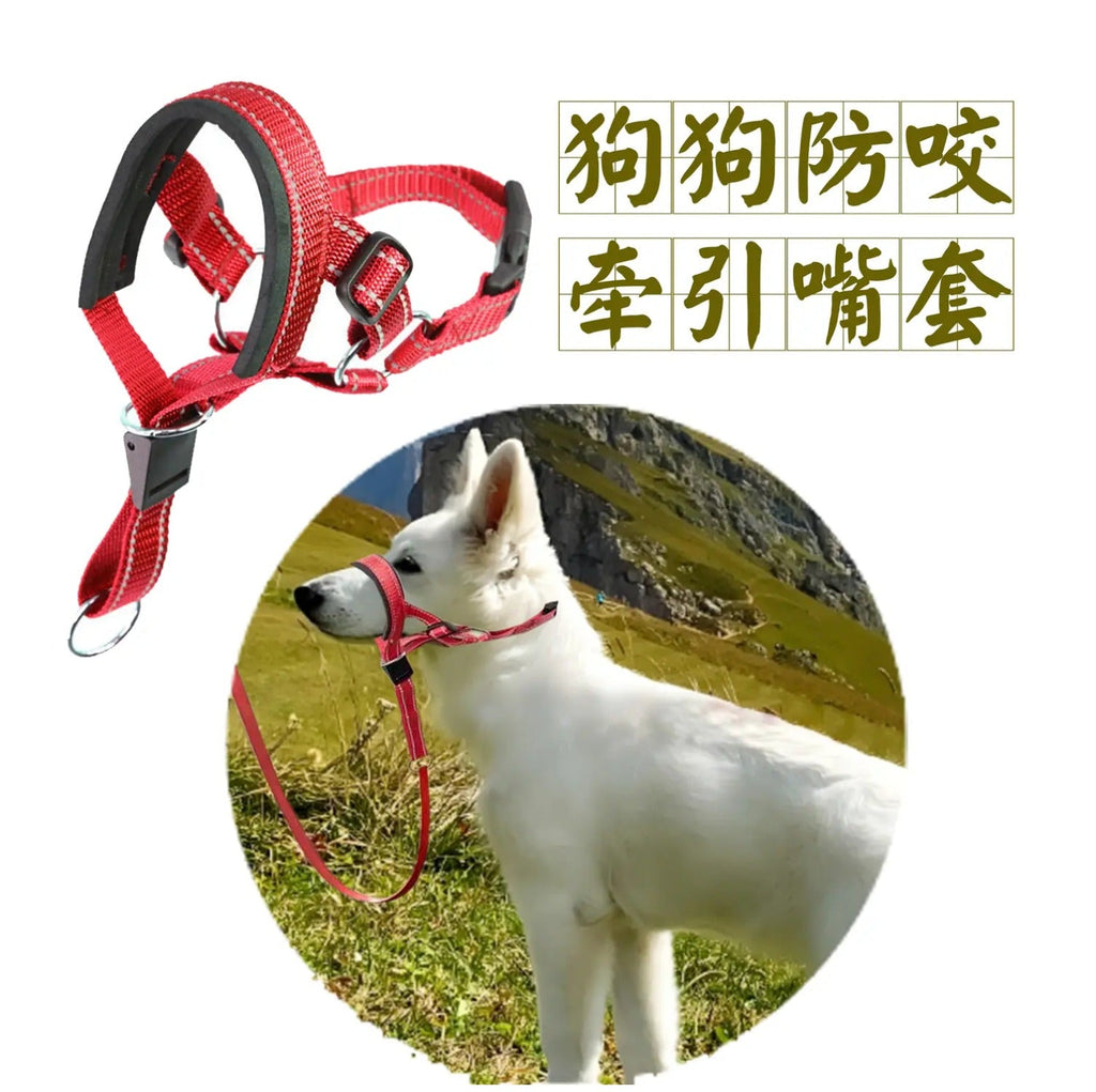 Red anti - Bite Dog Muzzle Harness Leash Set - Control and Safety for Your Pet