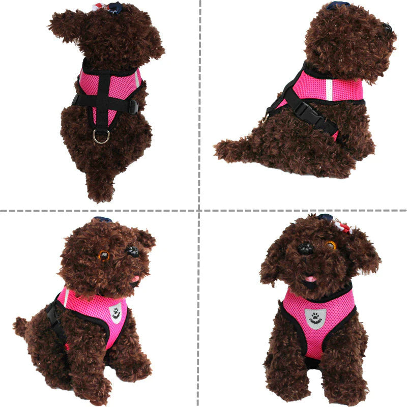 Adjustable Reflective Pet Harness and Leash for Cats and Dogs - Sizes S, M, L, XL
