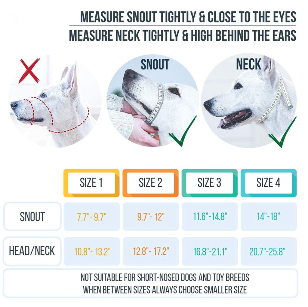 Red anti - Bite Dog Muzzle Harness Leash Set - Control and Safety for Your Pet