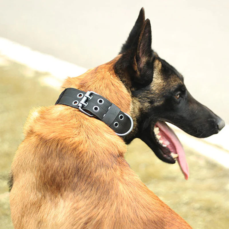 Heavy Duty 2" Wide Nylon Military Dog Collar with Metal Buckle - Perfect for Large K9s