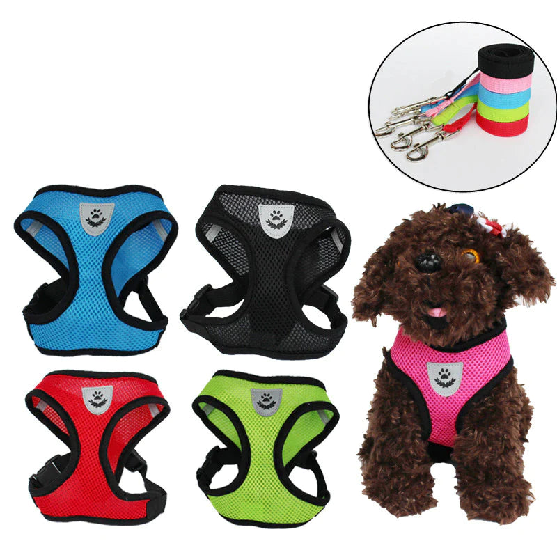 Adjustable Reflective Pet Harness and Leash for Cats and Dogs - Sizes S, M, L, XL