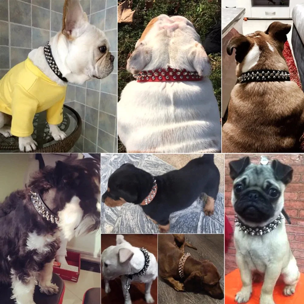 Premium Spiked Studded Leather Dog Collar - Adjustable for Small to Large Pets, Perfect for Pit Bulls and Cats