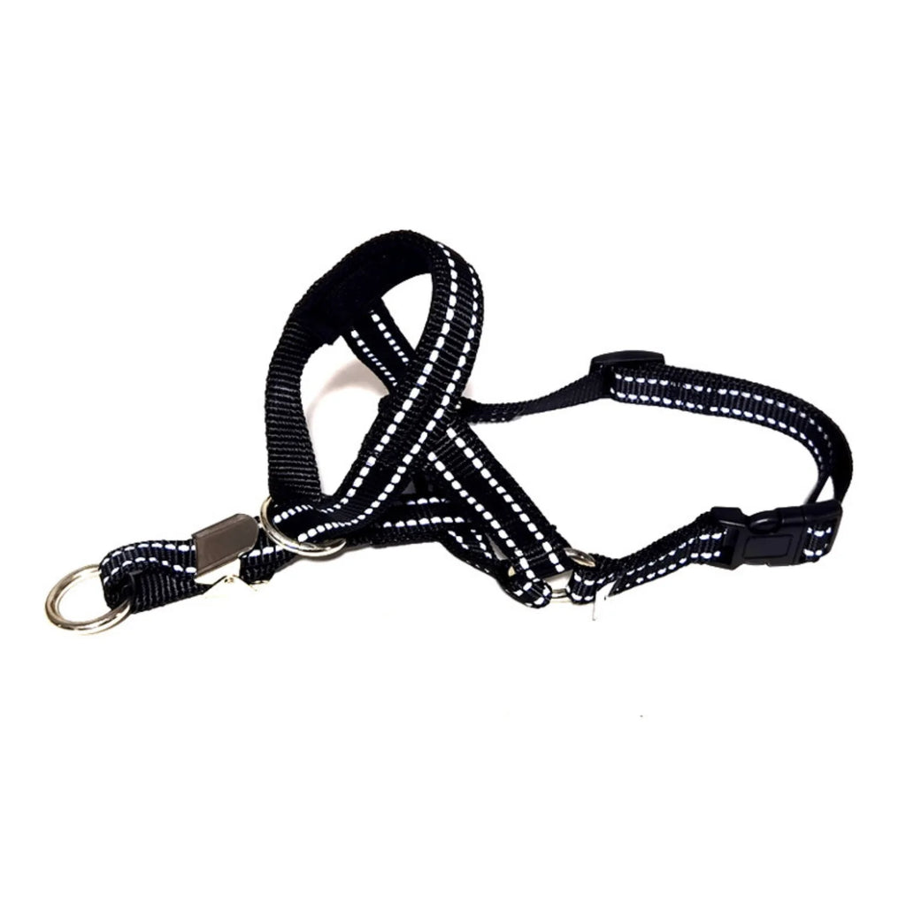 Red anti - Bite Dog Muzzle Harness Leash Set - Control and Safety for Your Pet