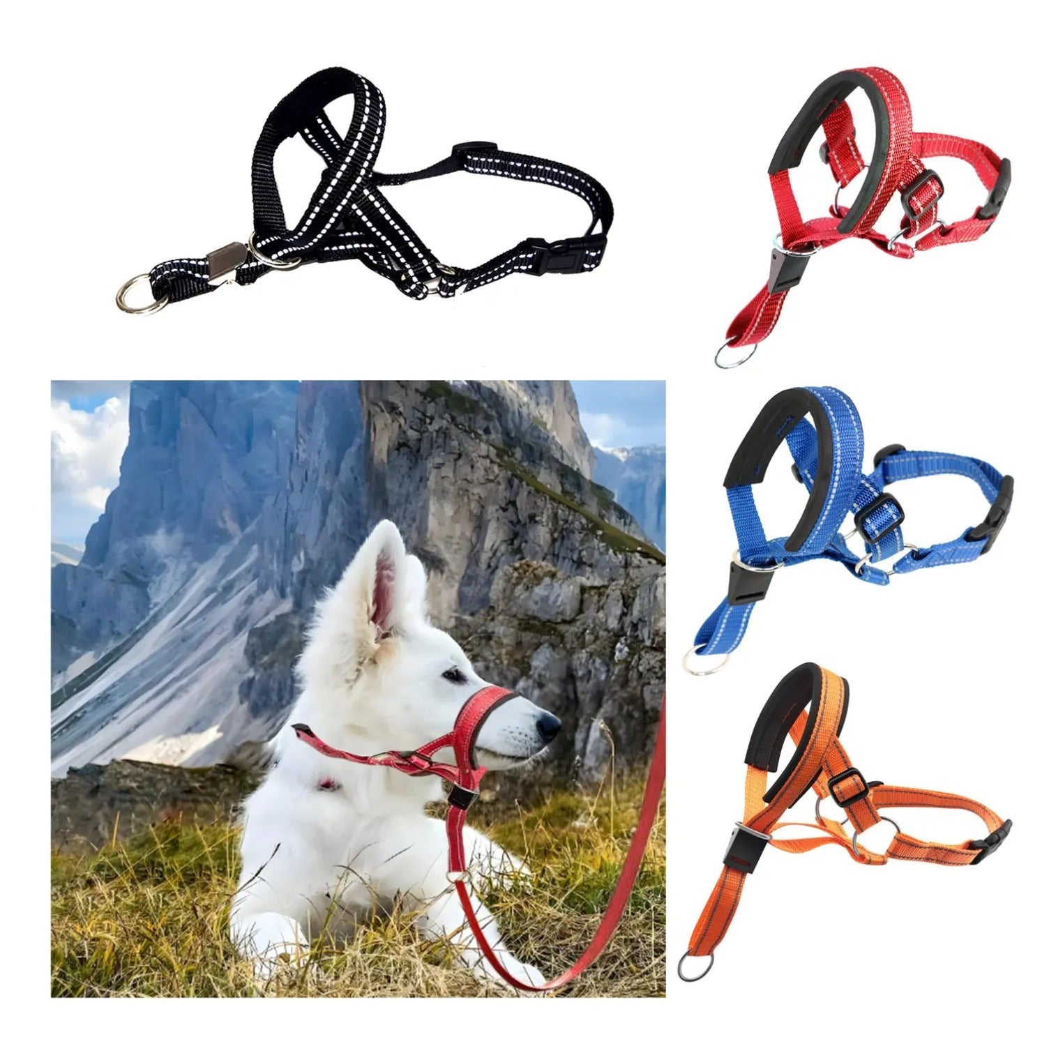 Red anti - Bite Dog Muzzle Harness Leash Set - Control and Safety for Your Pet