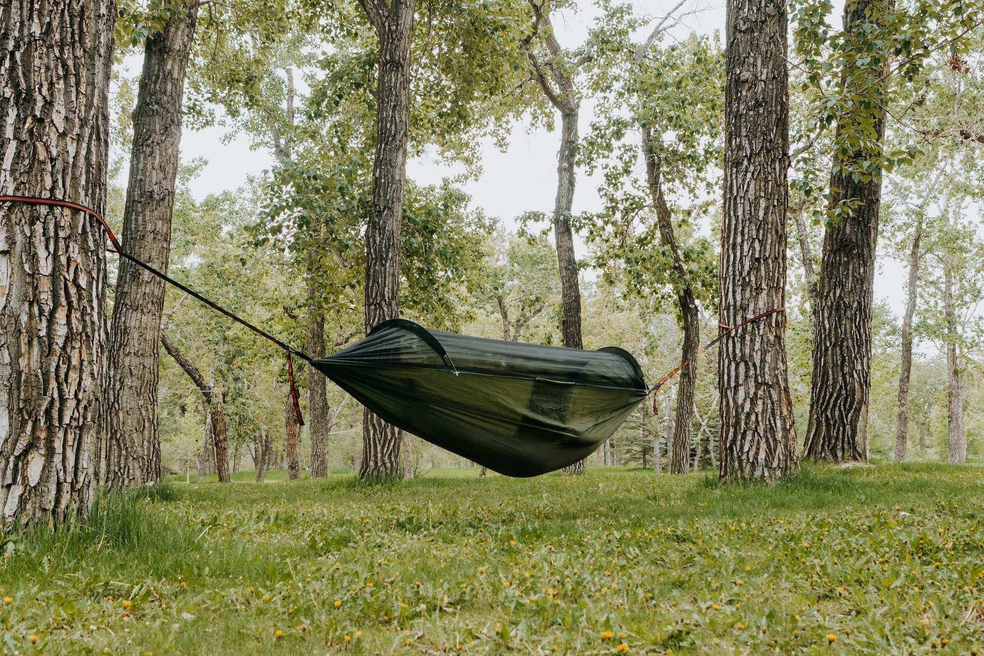 Ultimate Portable Camping Hammock with Built-in Mosquito Net for Bug-Free Adventures
