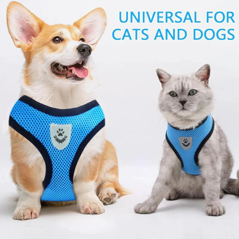 Adjustable Reflective Pet Harness and Leash for Cats and Dogs - Sizes S, M, L, XL