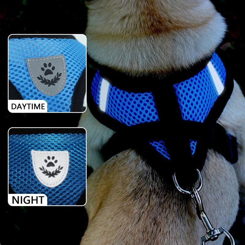 Adjustable Reflective Pet Harness and Leash for Cats and Dogs - Sizes S, M, L, XL